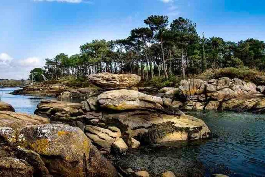 « Bleu Comme Mer » A Deux Pas Des Plages 콩카르노 외부 사진